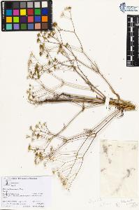 SW_BNB_s3070-05974_IMG-0000000001