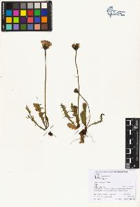 SW_BNB_s3070-05976_IMG-0000000001