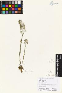 SW_BNB_s3070-05977_IMG-0000000001