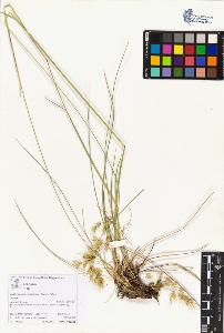 SW_BNB_s3070-05981_IMG-0000000001