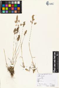 SW_BNB_s3070-05987_IMG-0000000001