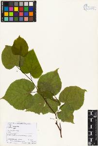 SW_BNB_s3070-06000_IMG-0000000001