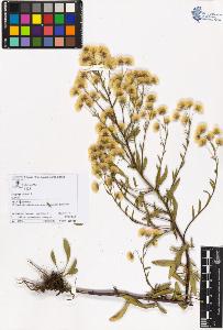 SW_BNB_s3070-06002_IMG-0000000001