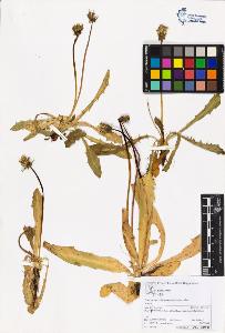 SW_BNB_s3070-06003_IMG-0000000001