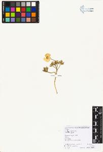 SW_BNB_s3070-06004_IMG-0000000001