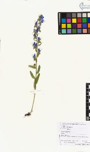 SW_BNB_s3070-06005_IMG-0000000001