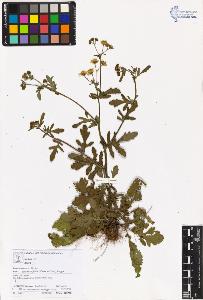 SW_BNB_s3070-06007_IMG-0000000001