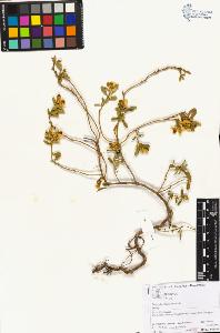 SW_BNB_s3070-06008_IMG-0000000001