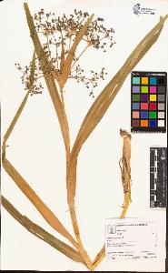 SW_BNB_s3070-06013_IMG-0000000001