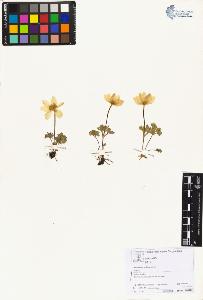 SW_BNB_s3070-06014_IMG-0000000001