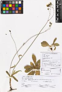 SW_BNB_s3070-06020_IMG-0000000001