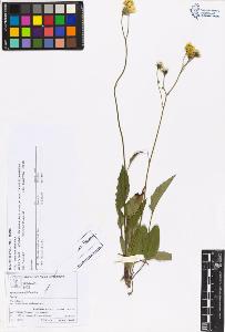 SW_BNB_s3070-06021_IMG-0000000001
