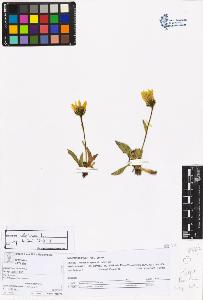 SW_BNB_s3070-06026_IMG-0000000001
