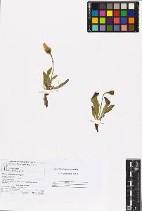 SW_BNB_s3070-06028_IMG-0000000001