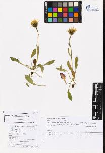 SW_BNB_s3070-06029_IMG-0000000001