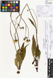 SW_BNB_s3070-06030_IMG-0000000001