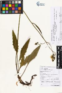 SW_BNB_s3070-06031_IMG-0000000001