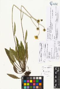 SW_BNB_s3070-06033_IMG-0000000001