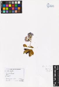 SW_BNB_s3070-06034_IMG-0000000001