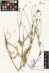 SW_BNB_s3070-06035_IMG-0000000001
