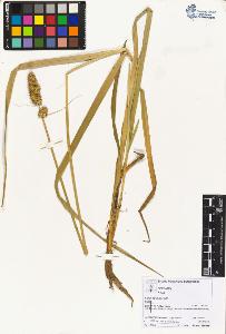 SW_BNB_s3070-06039_IMG-0000000001