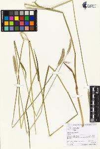 SW_BNB_s3070-06044_IMG-0000000001