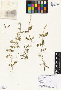 SW_BNB_s3070-06048_IMG-0000000001