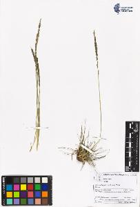SW_BNB_s3070-06049_IMG-0000000001