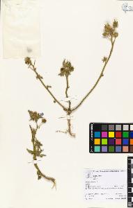 SW_BNB_s3070-06050_IMG-0000000001