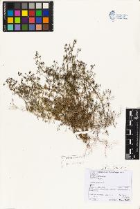 SW_BNB_s3070-06056_IMG-0000000001