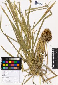 SW_BNB_s3070-06058_IMG-0000000001