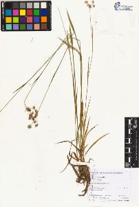 SW_BNB_s3070-06062_IMG-0000000001