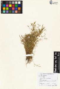 SW_BNB_s3070-06063_IMG-0000000001