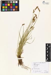 SW_BNB_s3070-06064_IMG-0000000001