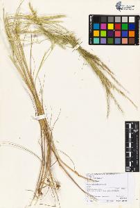 SW_BNB_s3070-06068_IMG-0000000001