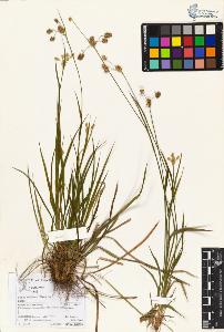 SW_BNB_s3070-06069_IMG-0000000001