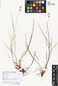 SW_BNB_s3070-06070_IMG-0000000001