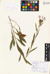 SW_BNB_s3070-06072_IMG-0000000001