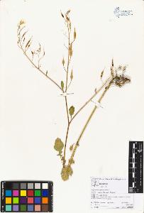 SW_BNB_s3070-06073_IMG-0000000001