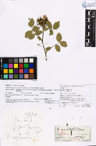 SW_BNB_s3070-06077_IMG-0000000001