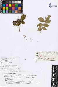 SW_BNB_s3070-06082_IMG-0000000001