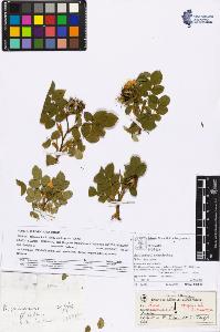 SW_BNB_s3070-06087_IMG-0000000001