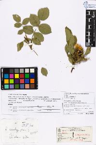 SW_BNB_s3070-06088_IMG-0000000001