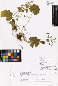 SW_BNB_s3070-06100_IMG-0000000001