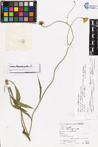 SW_BNB_s3070-06104_IMG-0000000001