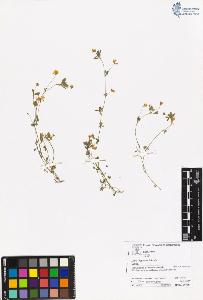 SW_BNB_s3070-06105_IMG-0000000001
