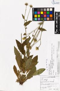 SW_BNB_s3070-06106_IMG-0000000001
