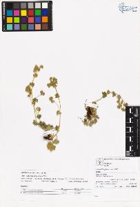 SW_BNB_s3070-06107_IMG-0000000001