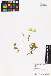 SW_BNB_s3070-06109_IMG-0000000001