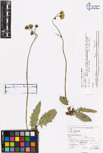 SW_BNB_s3070-06110_IMG-0000000001